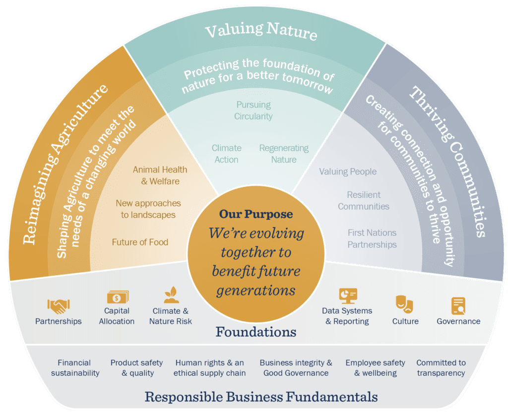 Sustainabilty Framework Diagram_v18_Pillar1